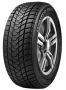 Легковая шина Delinte Winter WD1 255/45 R19 100H